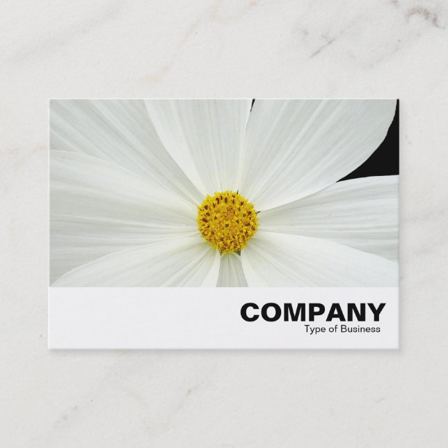 Carte De Visite Fleur Cosmos Blanc (Devant)