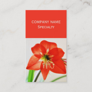 Carte De Visite Fleur d'Amaryllis rouge