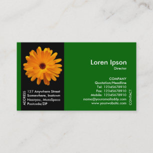 Carte De Visite Fleur de bande noire - Marigold orange - Vert