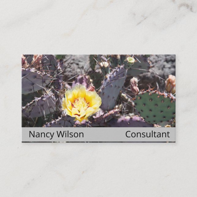 Carte De Visite Fleur de cactus jaune au printemps (Devant)