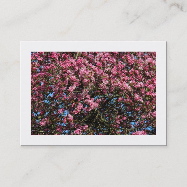 Carte De Visite Fleur de cerisier rose (frontière) (Devant)