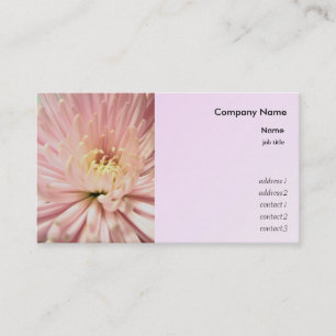 Carte De Visite fleur de chrysanthème rose clair