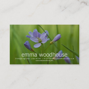 Carte De Visite Fleur de Cuckoo