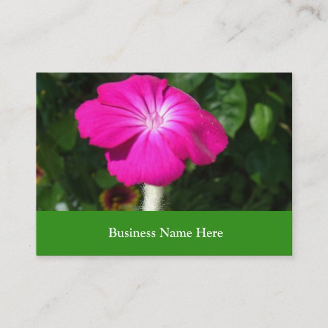 Carte De Visite fleur de jardin rose (Devant)