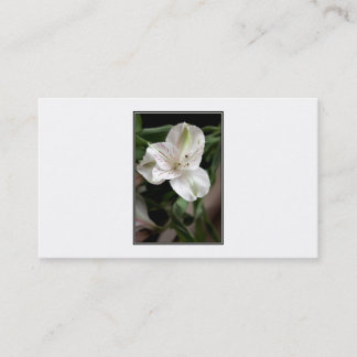 Carte De Visite Fleur de lis