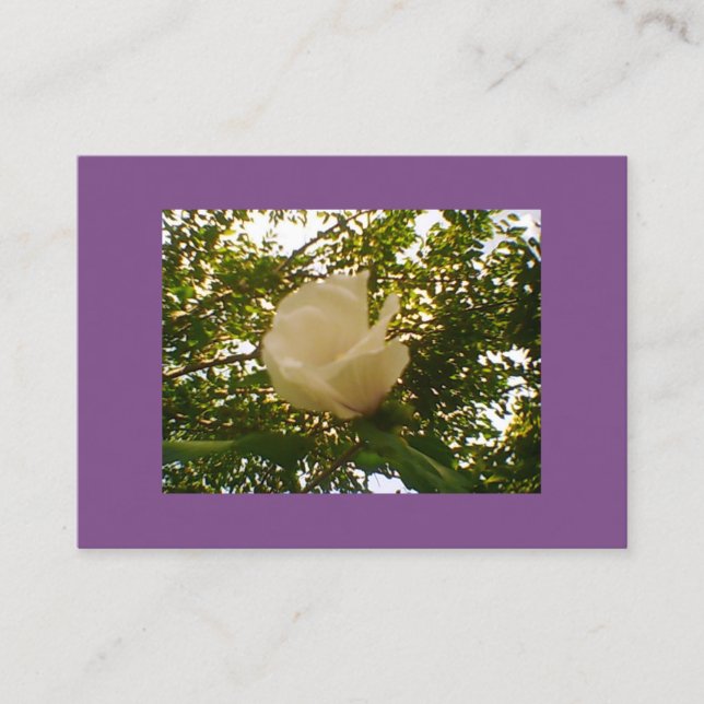 Carte De Visite Fleur de rose blanche semi-brillante (Devant)