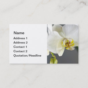 Carte De Visite Fleur d'orchidée blanche