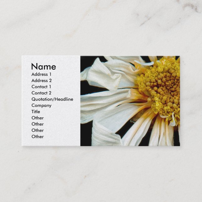 Carte De Visite Fleur - Marguerite - Soleil ivre (Devant)
