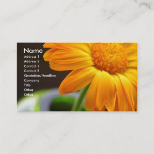 Carte De Visite Fleur orange