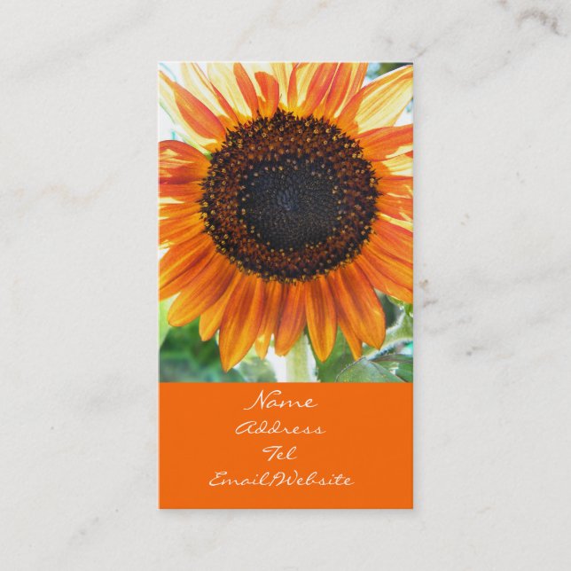 Carte De Visite Fleur orange de tournesol (Devant)