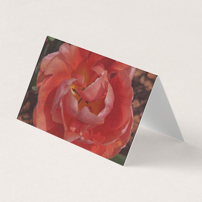 Carte De Visite fleur rouge  (Devant)