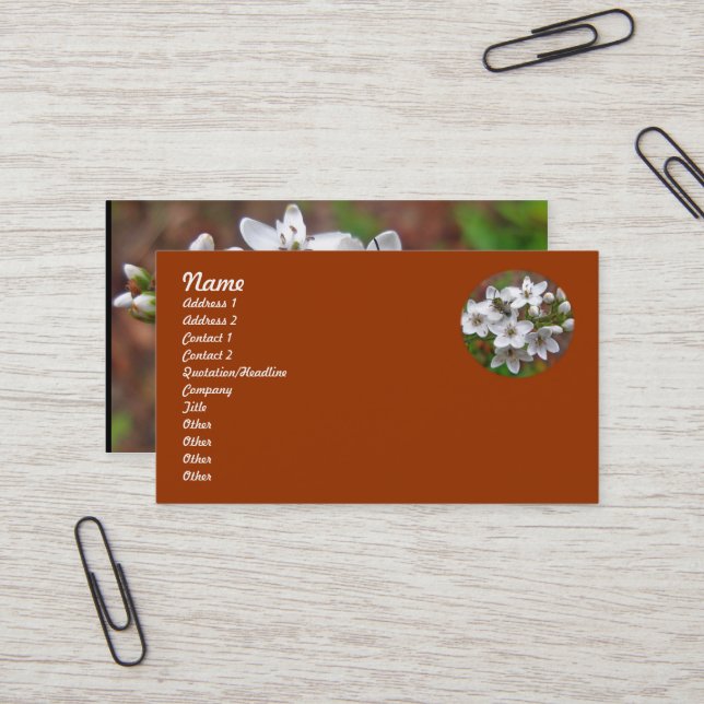 Carte De Visite Fleur sauvage blanc et vol d'abeille (Devant/Arrière en situation)