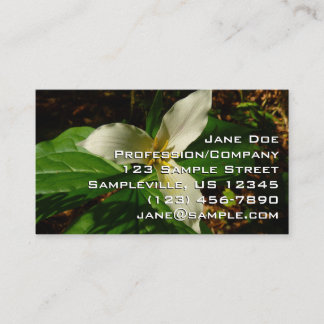 Carte De Visite Fleur sauvage de printemps blanc Trillium Flower