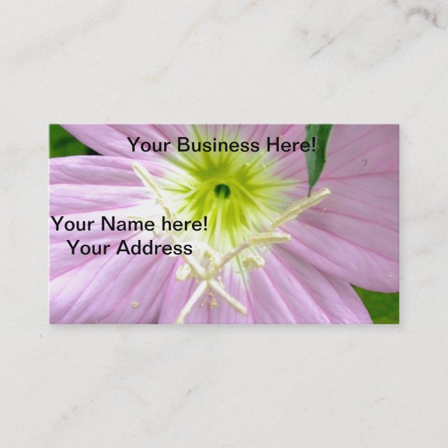 Carte De Visite Fleur sauvage rose d'oenothère biennale (Devant)