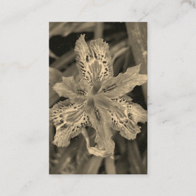 Carte De Visite fleurir en violet  (Devant)