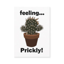 Fleuriste Cactus Ressentir Piquant Cactus