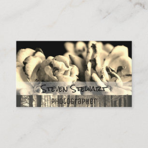 Carte De Visite Fleurs   Arbres   Photographie de plein air