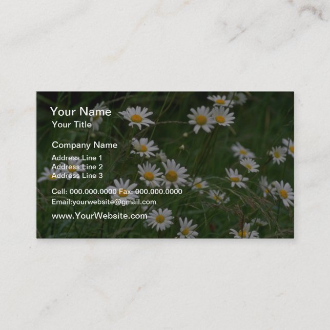 Carte De Visite fleurs blanches de l'Oxeye (Devant)