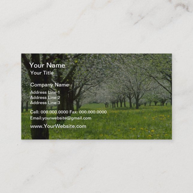 Carte De Visite fleurs blanches de pommiers Au printemps (Devant)