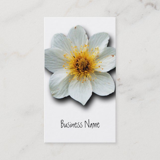 Carte De Visite Fleurs blanches minuscules (Devant)