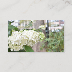 Carte De Visite Fleurs blanches New York Architecture Photo floral