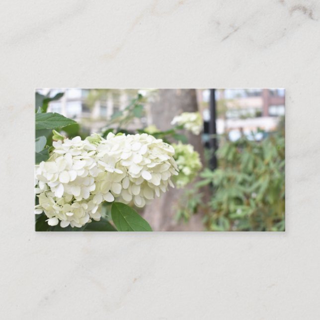 Carte De Visite Fleurs blanches New York Architecture Photo floral (Devant)