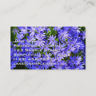 Carte De Visite Fleurs bleues à la marguerite Nature Photographie