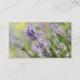 Carte De Visite Fleurs de lavande
