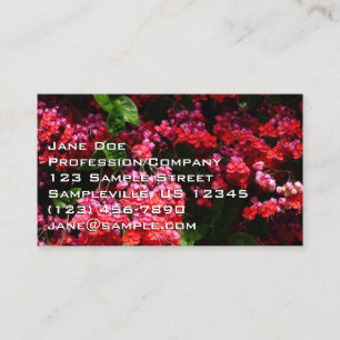 Carte De Visite Fleurs de pagode colorées rouge et rose