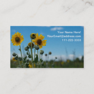 Carte De Visite Fleurs de soleil sur le ciel bleu