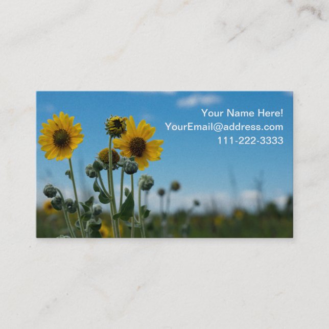 Carte De Visite Fleurs de soleil sur le ciel bleu (Devant)