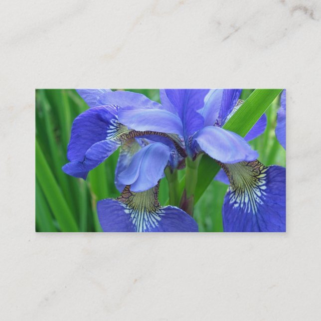 Carte De Visite fleurs d'iris bleues (Devant)