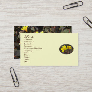 Carte De Visite Fleurs d'Oxalis Jaunes - Shamrock - Clover