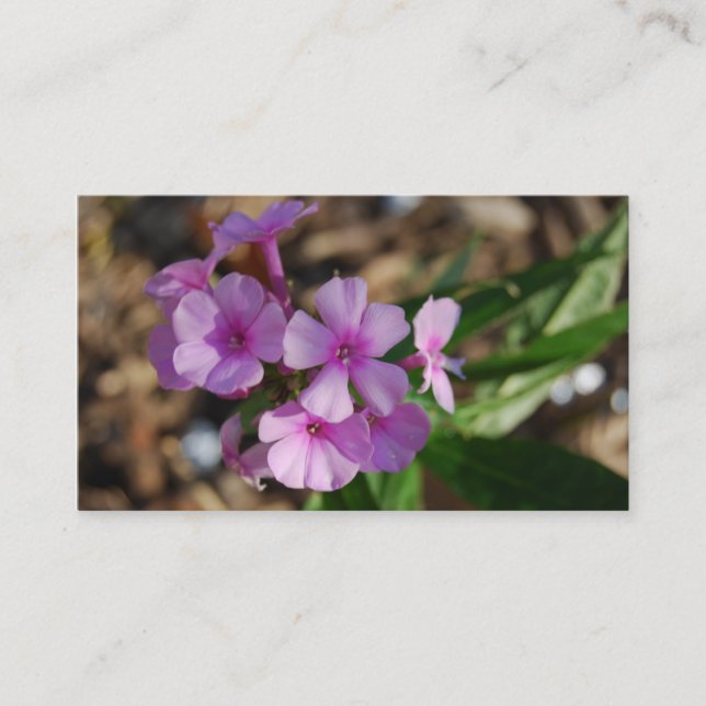 Carte De Visite Fleurs pourpres minuscules - affaires (Devant)