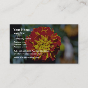 Carte De Visite Fleurs rouges et jaunes de souci