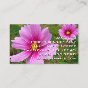 Carte De Visite Fleurs sauvages de cosmos rose