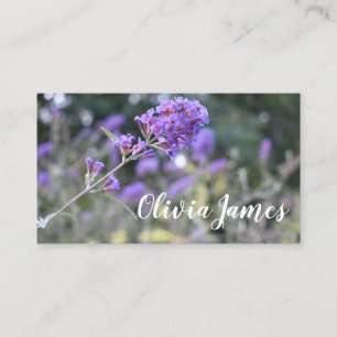 Carte De Visite Fleurs violettes Été Nature Photographie Florale