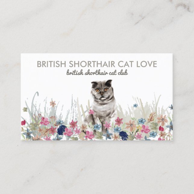 Carte De Visite Floral Back British Shorthair mignon chat (Devant)