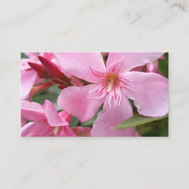 Carte de visite florale Fleur rose élégante Botani (Devant)