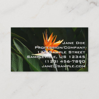 Carte De Visite Flower tropical orange paradise