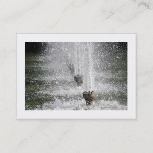 Carte De Visite Fontaines (Bordées)