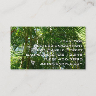 Carte De Visite Forest of Palm Trees Tropical Nature