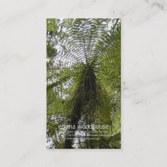 Carte De Visite Fougère d'arbre (Devant)