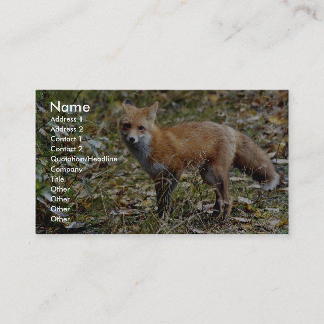 Carte De Visite Fox rouge (Devant)