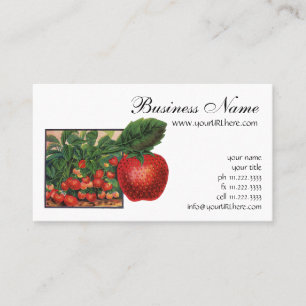 Carte De Visite Fraises anciennes, plants de fraises dans une ferm