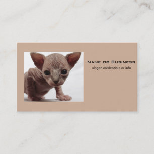 Carte De Visite Freaky Cute Furless
