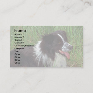 Carte De Visite Frontière Collie dans l'herbe