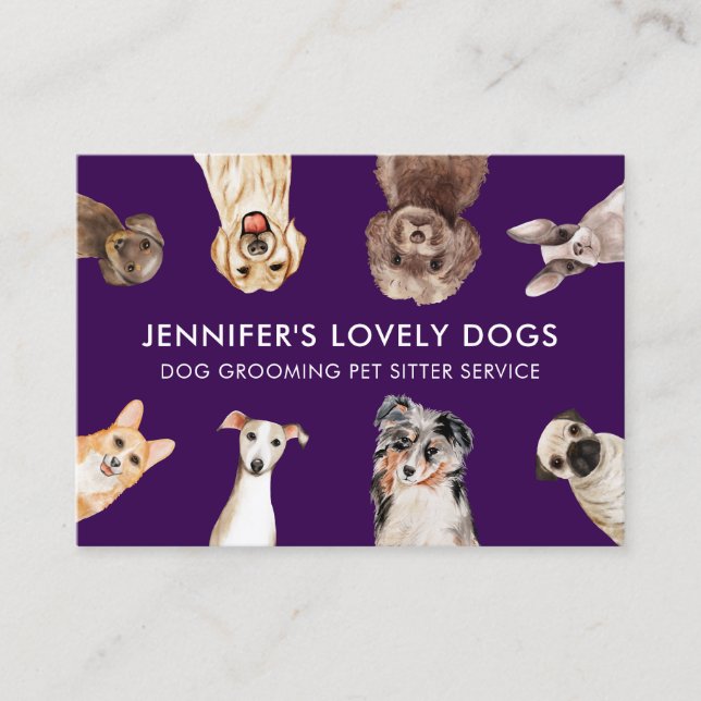 Carte De Visite Garde d'animaux Chiens Taille Petite Mignons Viole (Devant)