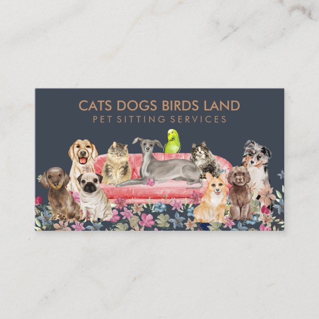 Carte De Visite Garde d'animaux de compagnie Hôtel Canapé Oiseau C (Devant)