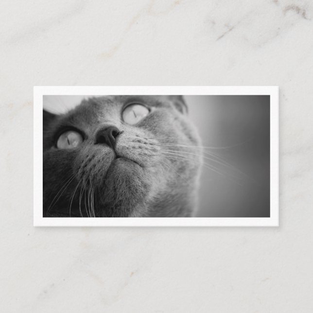 Carte De Visite Garde d'animaux simple moderne  (Devant)